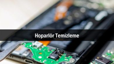 Hoparlör Temizleme